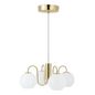 Preview: Nordlux Franca Glas-Pendelleuchte 4xE14 Messing Pendellampe 2312543035
