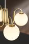Preview: Nordlux Franca Glas-Pendelleuchte 4xE14 Messing Pendellampe 2312543035