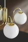 Preview: Nordlux Franca Glas-Pendelleuchte 4xE14 Messing Pendellampe 2312543035