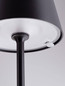 Preview: Nova Luce LED Akku-Stehleuchte Persea dimmbar 2W warmweiss 3000K USB IP54 salzwasserfest Schwarz Aluminium 115cm 9030625