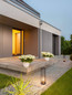Preview: Nova Luce Wegeleuchte Elysium E27 IP65 salzwasserfest Schwarz Aluminium 50cm 9030629