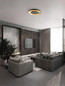 Preview: Nova Luce LED Deckenleuchte Epos dimmbar 38W CCT warm-/neutralweiss 2700/3000/4000K Schwarz Gold Aluminium Ø60cm 9345707