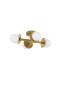 Preview: Nova Luce PIELO Deckenleuchte G9 4-fach Gold 51x37x17cm dimmbar 9043318