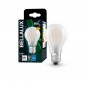 Preview: BELLALUX E27 LED Lampe 7W A60 Filament matt neutralweiss wie 60W