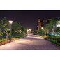 Preview: Philips LED Lampe E40 TrueForce Core SON-T-Ersatz 45W 8800lm Warmweiss 3000K 8720169297470