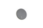 Preview: Reality R23056142 Fortaleza LED Wandleuchte 2W ⌀14cm Anthrazit IP54 warmweiss