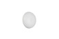 Preview: Reality R24431131 Davey LED Wandleuchte 1,5W ⌀15,5cm Weiß Matt warmweiss Touch