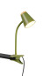 Preview: Reality R25831115 Pongo LED Klemmleuchte 4,5W Grün warmweiss