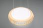 Preview: Reality Monte LED Pendelleuchte  40W ⌀60cm dimmbar Weiß CCT einstellbare Lichtfarbe