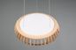 Preview: Reality Monte LED Pendelleuchte  40W ⌀60cm dimmbar Weiß CCT einstellbare Lichtfarbe