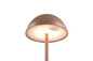 Preview: Reality R54106165 Ricardo LED Tischleuchte 1,7W ⌀13,5cm Coffee IP54 warmweiss Touch