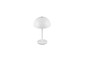 Preview: Reality R54891131 Munoz LED Tischleuchte 1,3W ⌀13cm Weiß Matt warmweiss Touch