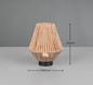 Preview: Reality R55991126 Lira LED Tischleuchte 1,5W ⌀18,5cm Braun warmweiss Touch