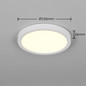 Preview: Reality R65891131 Draco LED Deckenleuchte 18W ⌀23cm dimmbar Weiß Matt CCT einstellbare Lichtfarbe