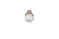 Preview: Reality R86371743 Boba E14 Strahler ⌀10cm Warm Beige