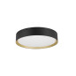 Preview: SLV DECONA 30, Wand- und Deckenaufbauleuchte, rund, 2700/3000K, 18W, PHASE, schwarz / gold 1008580