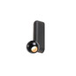 Preview: SLV 1010302 DYSKO, CW, Single, Phase, Wand- und Deckenaufbauleuchte, 2700K, 6.7W, 36°, schwarz