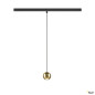 Preview: SLV 1010336 DYSKO, 48V Pendelleuchte, DALI, Pendellänge 200 cm, 2700K, 36°, schwarz / gold
