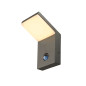 Preview: SLV 1011573 ORDI, WL, Sensor, Wandaufbauleuchte, 2700/3000K, 6/8.5W, IP54, anthrazit