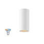 Preview: SLV 1012503 ASTO TUBE Smart Set, CL, Single, GU10, PAR16, ZIGBEE, TW, Deckenaufbauleuchte, weiß