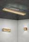 Preview: Trio Brad LED Wandleuchte  4W dimmbar Holzfarbig warmweiss