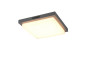 Preview: Trio 630369242 Bermejo LED Deckenleuchte 14W Anthrazit IP54 CCT einstellbare Lichtfarbe