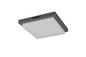 Preview: Trio 630369242 Bermejo LED Deckenleuchte 14W Anthrazit IP54 CCT einstellbare Lichtfarbe