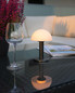 Preview: Villeroy & Boch BERGAMO Akku-Tischlampe Gun Metal Matt 1,8W steuerbare Lichtfarbe IP65 97077