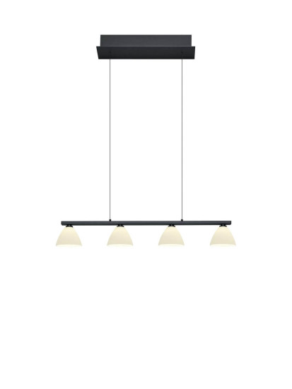 Hell Mona Pendelleuchte G9 5-fach Schwarz 20574/4-06