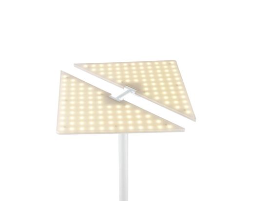 Hell Edge LED Stehleuchte Dimmbar 185cm CCT Weiss 60540/1-07