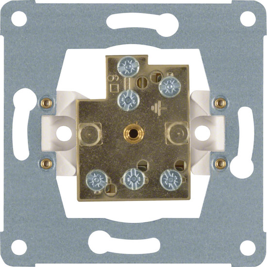 Berker 1061 Doppel-Potenzialausgleich-Steckdose Modul-Einsätze