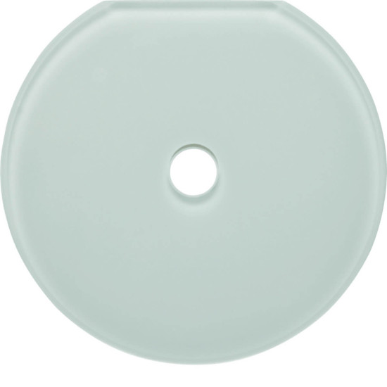 Berker 109409 Glasabdeckendplatte für Drehschalter/-taster Serie Glas polarweiß