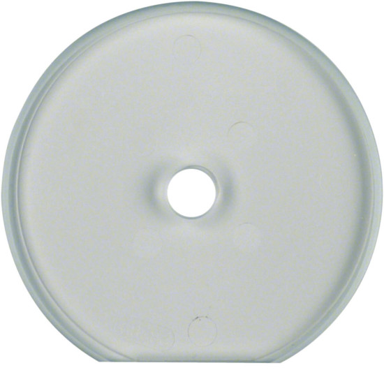 Berker 1094 Glasabdeckendplatte für Drehschalter/-taster Serie Glas klar
