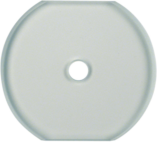 Berker 1095 Glasabdeckmittelplatte für Drehschalter/-taster Serie Glas klar