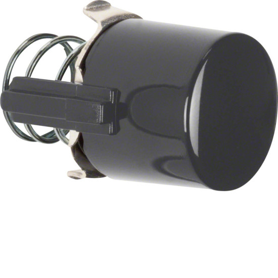 Berker 122501 Tasterknopf f. Druckt. u. Lichtsignal E10 1930/Glas/Palazzo schwarz. glänzend