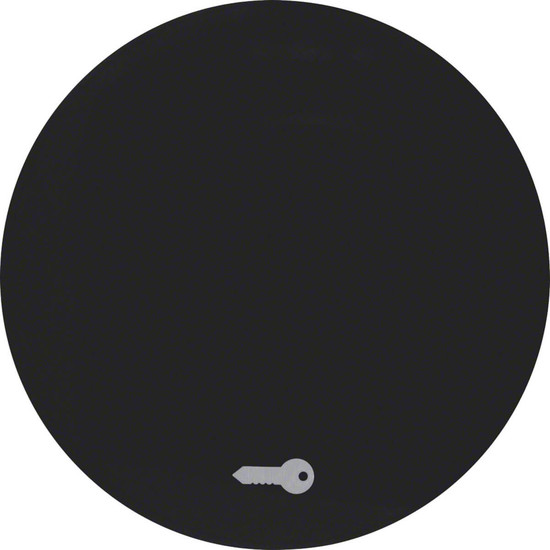 Berker 16202015 Wippe mit Aufdruck Symbol Tür R.1/R.3 schwarz. glänzend