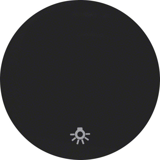 Berker 16202035 Wippe mit Aufdruck Symbol Licht R.1/R.3 schwarz. glänzend