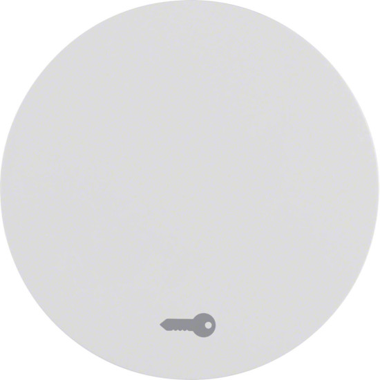 Berker 16202059 Wippe mit Aufdruck Symbol Tür R.1/R.3 polarweiß. glänzend