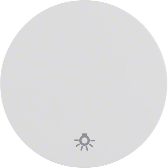 Berker 16202079 Wippe mit Aufdruck Symbol Licht R.1/R.3 polarweiß. glänzend