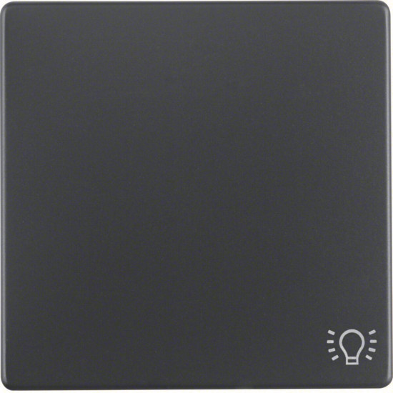 Berker 16206046 Wippe mit Aufdruck Symbol Licht Q.x anthrazit. samt
