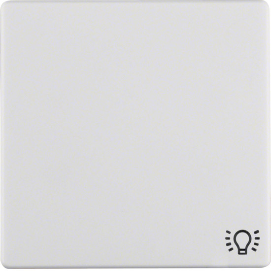 Berker 16206049 Wippe mit Aufdruck Symbol Licht Q.x polarweiß. samt