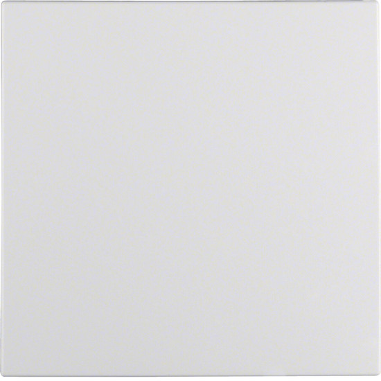 Berker 16291909 Wippe mit Befestigungsstück S.1 IP44 polarweiß matt