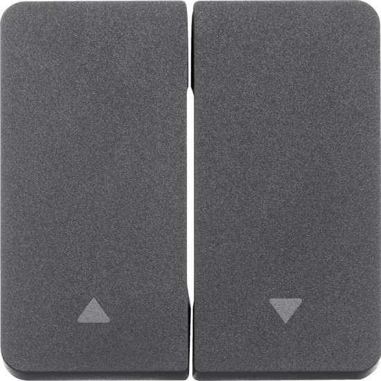 Berker 30753535 Wippe 2fach mit Aufdruck Symbol Pfeil W.1 grau LT