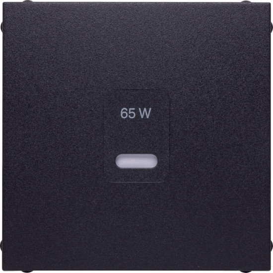 Berker 48601606 Zentralstück für USB B.x. anthrazit matt. lackiert