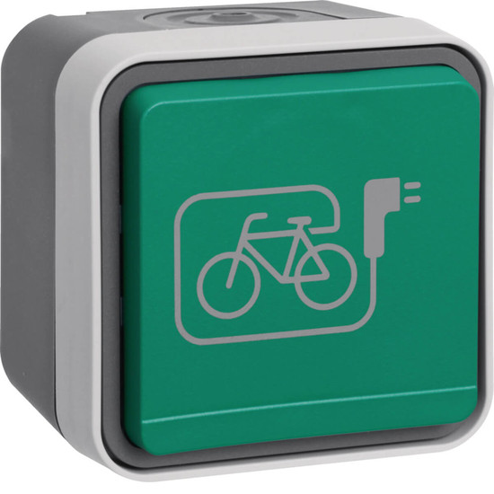 Berker 6745643513 Steckdose m. Schutzkontaktstift. grünem Klappd. und Symbol E-Bike AP W.1 grau