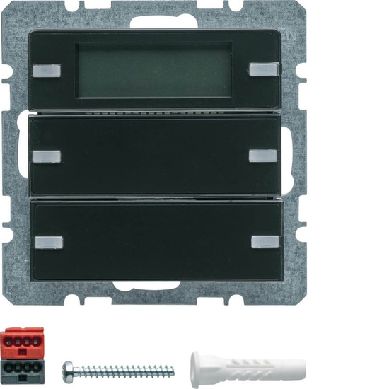 Berker 75662726 Tastsensor 2fach mit Beschriftungsfeldern. RTR. Display Q.x anthrazit. samt