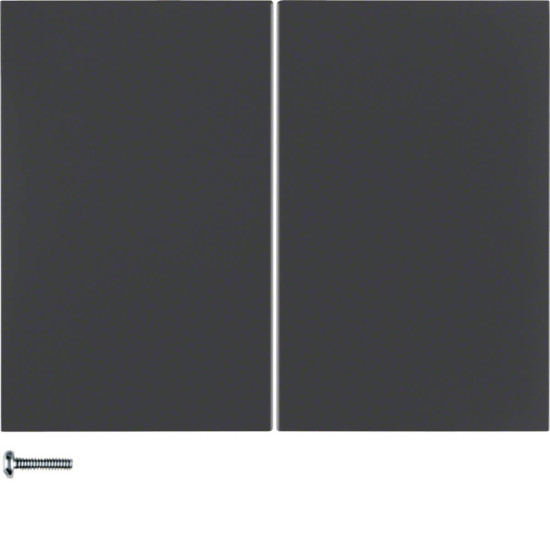 Berker 85142175 Taste 2fach K.1 anthrazit. matt