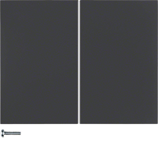 Berker 85146175 KNX-Funk Taste 2fach quicklink K.1 anthrazit. matt