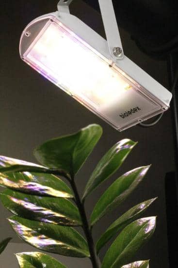 Bioledex GoLeaf A1T 3-Phasen Schienenleuchte LED Pflanzenlampe 30W 120° S1 - Vegetatives Wachstum, Vollspektrum Grow Pflanzenleuchte
