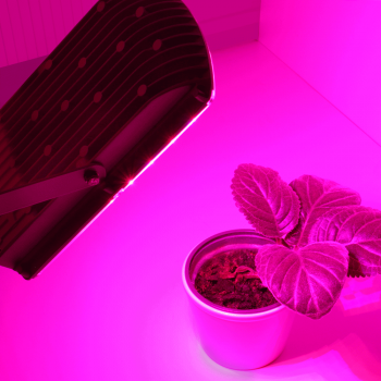 Bioledex GoLeaf A1T 3-Phasen LED Pflanzenlampe Schienenleuchte 25W S3 - Rot-blaue Grow Pflanzenleuchte
